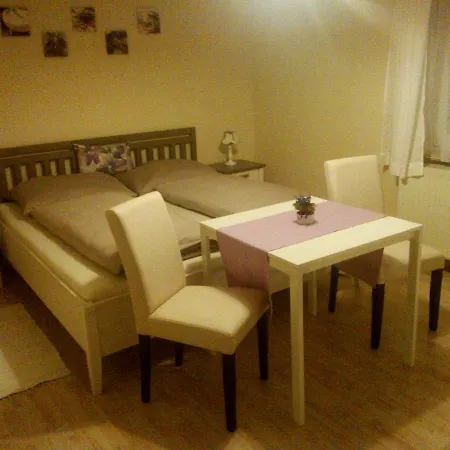 Seeblick Krippenstein Obertraun