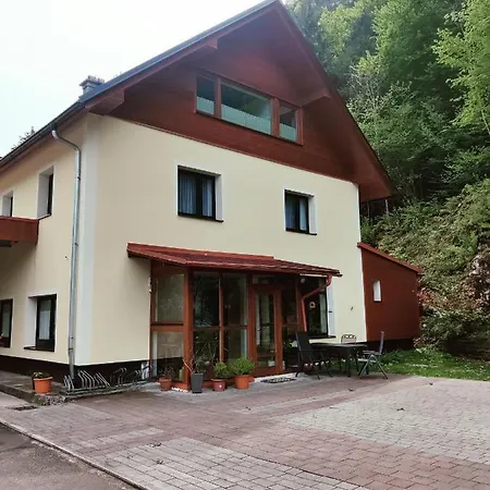 Seeblick Krippenstein * Obertraun